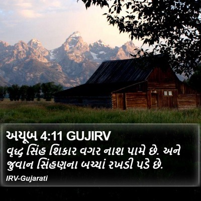 અયૂબ 4:11 GUJIRV Bible Verse Image