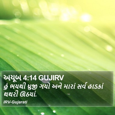 અયૂબ 4:14 GUJIRV Bible Verse Image