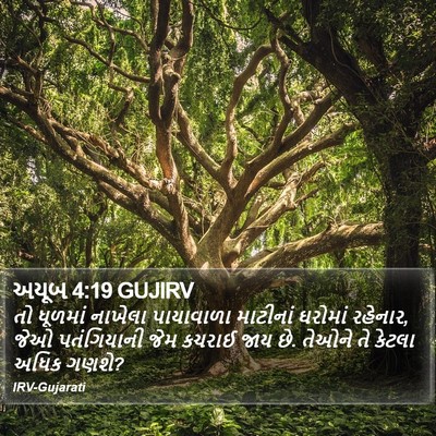 અયૂબ 4:19 GUJIRV Bible Verse Image