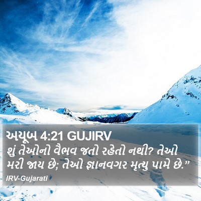અયૂબ 4:21 GUJIRV Bible Verse Image