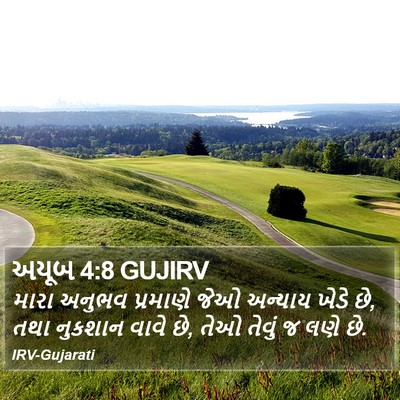 અયૂબ 4:8 GUJIRV Bible Verse Image