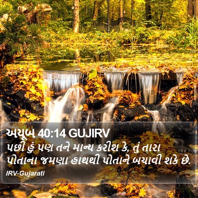 અયૂબ 40:14 GUJIRV Bible Verse Image