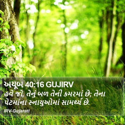અયૂબ 40:16 GUJIRV Bible Verse Image