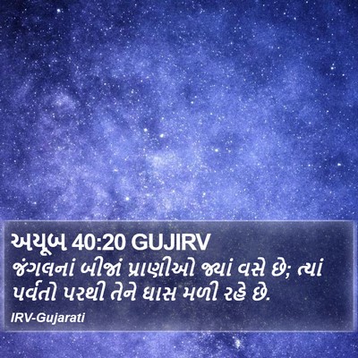 અયૂબ 40:20 GUJIRV Bible Verse Image