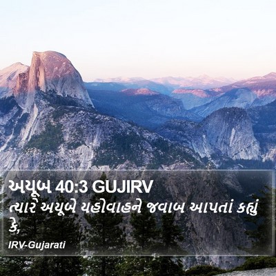 અયૂબ 40:3 GUJIRV Bible Verse Image