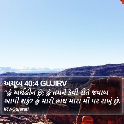 અયૂબ 40:4 GUJIRV Bible Verse Image