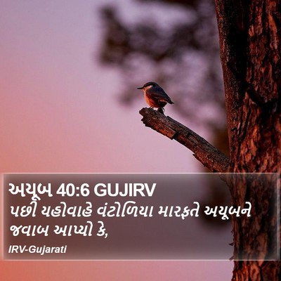 અયૂબ 40:6 GUJIRV Bible Verse Image