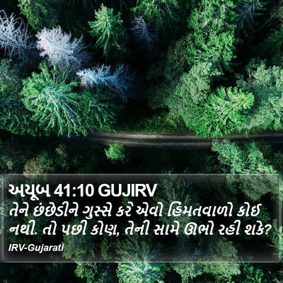 અયૂબ 41:10 GUJIRV Bible Verse Image