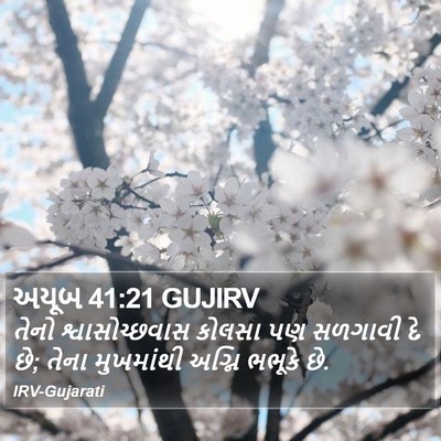 અયૂબ 41:21 GUJIRV Bible Verse Image