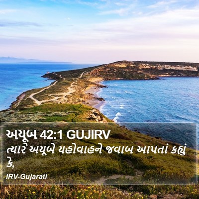 અયૂબ 42:1 GUJIRV Bible Verse Image