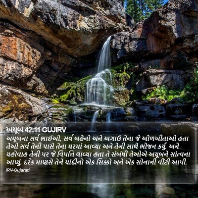 અયૂબ 42:11 GUJIRV Bible Verse Image