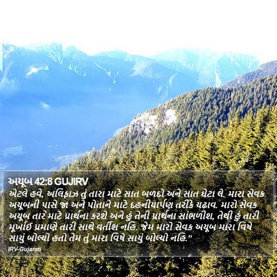 અયૂબ 42:8 GUJIRV Bible Verse Image