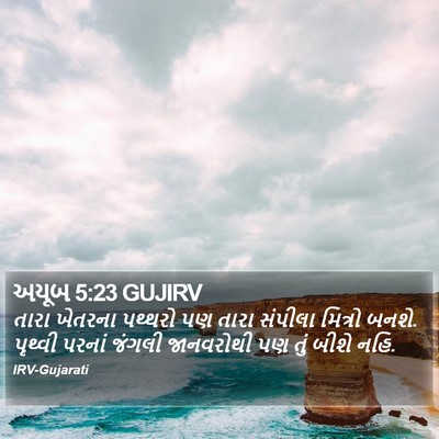 અયૂબ 5:23 GUJIRV Bible Verse Image