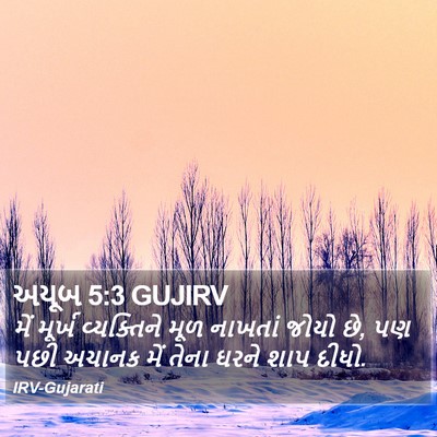 અયૂબ 5:3 GUJIRV Bible Verse Image