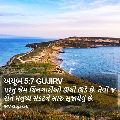 અયૂબ 5:7 GUJIRV Bible Verse Image