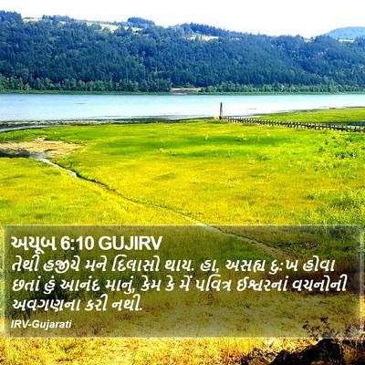 અયૂબ 6:10 GUJIRV Bible Verse Image