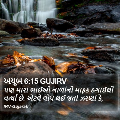 અયૂબ 6:15 GUJIRV Bible Verse Image