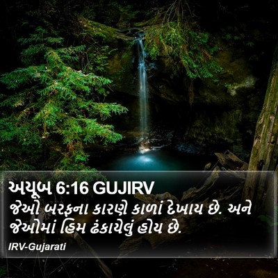 અયૂબ 6:16 GUJIRV Bible Verse Image