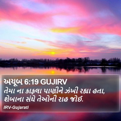 અયૂબ 6:19 GUJIRV Bible Verse Image