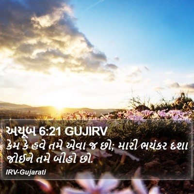 અયૂબ 6:21 GUJIRV Bible Verse Image