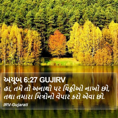 અયૂબ 6:27 GUJIRV Bible Verse Image