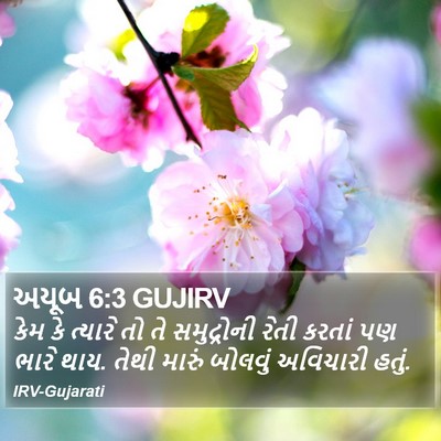 અયૂબ 6:3 GUJIRV Bible Verse Image