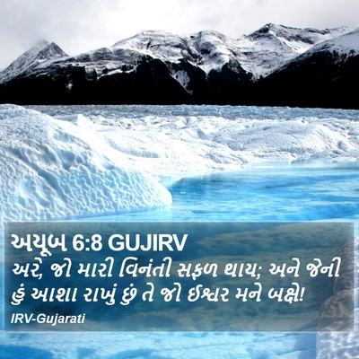 અયૂબ 6:8 GUJIRV Bible Verse Image