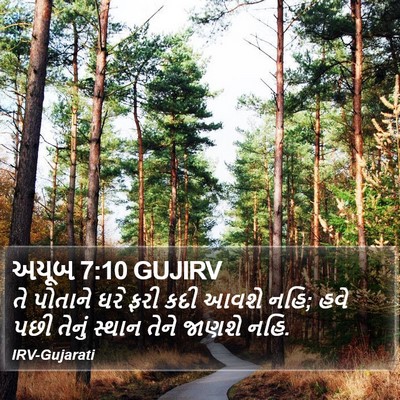 અયૂબ 7:10 GUJIRV Bible Verse Image