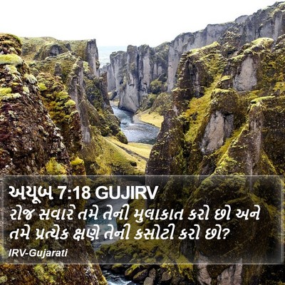 અયૂબ 7:18 GUJIRV Bible Verse Image