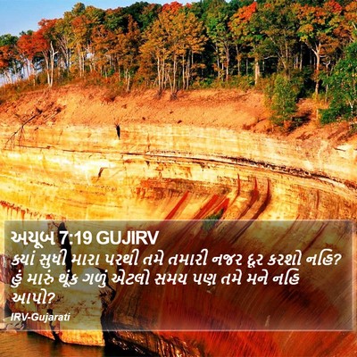 અયૂબ 7:19 GUJIRV Bible Verse Image