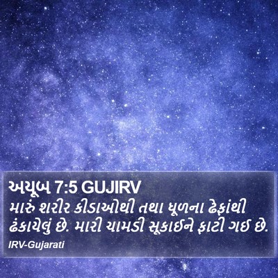 અયૂબ 7:5 GUJIRV Bible Verse Image