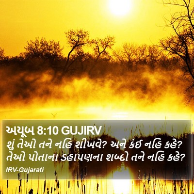 અયૂબ 8:10 GUJIRV Bible Verse Image