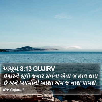 અયૂબ 8:13 GUJIRV Bible Verse Image
