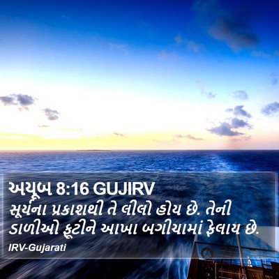 અયૂબ 8:16 GUJIRV Bible Verse Image