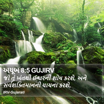 અયૂબ 8:5 GUJIRV Bible Verse Image