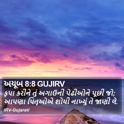 અયૂબ 8:8 GUJIRV Bible Verse Image