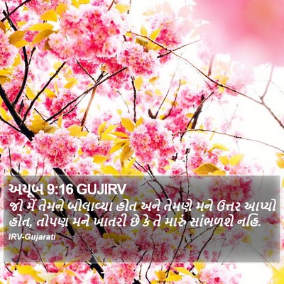અયૂબ 9:16 GUJIRV Bible Verse Image