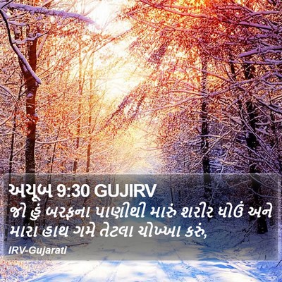 અયૂબ 9:30 GUJIRV Bible Verse Image