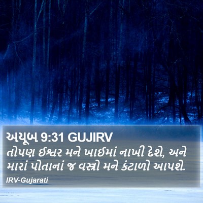 અયૂબ 9:31 GUJIRV Bible Verse Image
