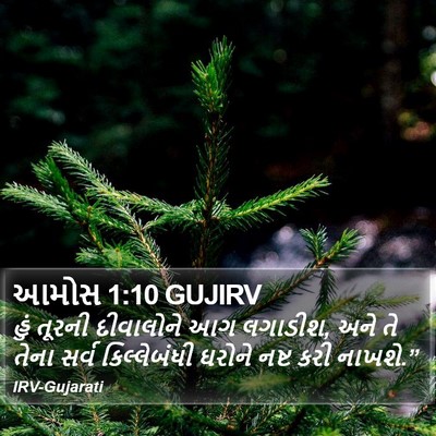આમોસ 1:10 GUJIRV Bible Verse Image