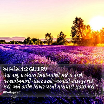 આમોસ 1:2 GUJIRV Bible Verse Image