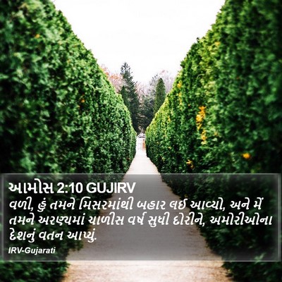 આમોસ 2:10 GUJIRV Bible Verse Image