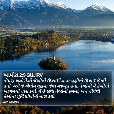 આમોસ 2:9 GUJIRV Bible Verse Image