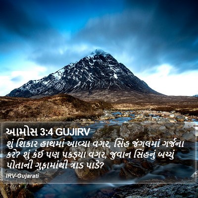 આમોસ 3:4 GUJIRV Bible Verse Image