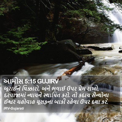 આમોસ 5:15 GUJIRV Bible Verse Image