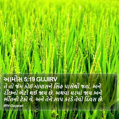 આમોસ 5:19 GUJIRV Bible Verse Image
