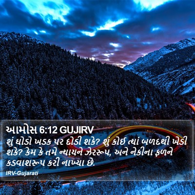 આમોસ 6:12 GUJIRV Bible Verse Image