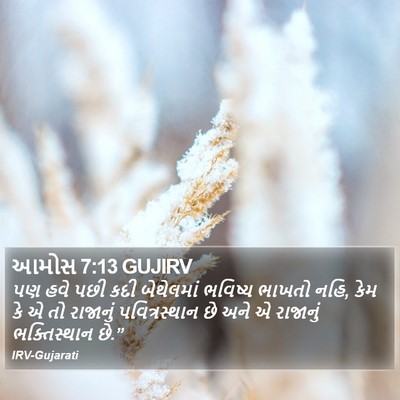 આમોસ 7:13 GUJIRV Bible Verse Image