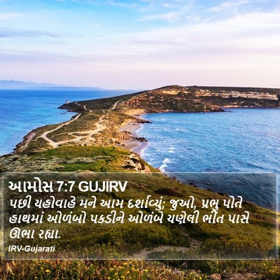આમોસ 7:7 GUJIRV Bible Verse Image