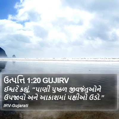 ઉત્પત્તિ 1:20 GUJIRV Bible Verse Image